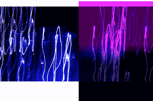 Négociations à l'OMC pour l'accès aux génériques : alerte !