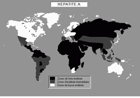 hepatiteA.gif