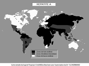 hepatiteA.gif