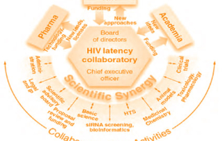 Source : Richman et al. 2009. The challenge of finding a cure for HIV infection. Science 323:1304-07.